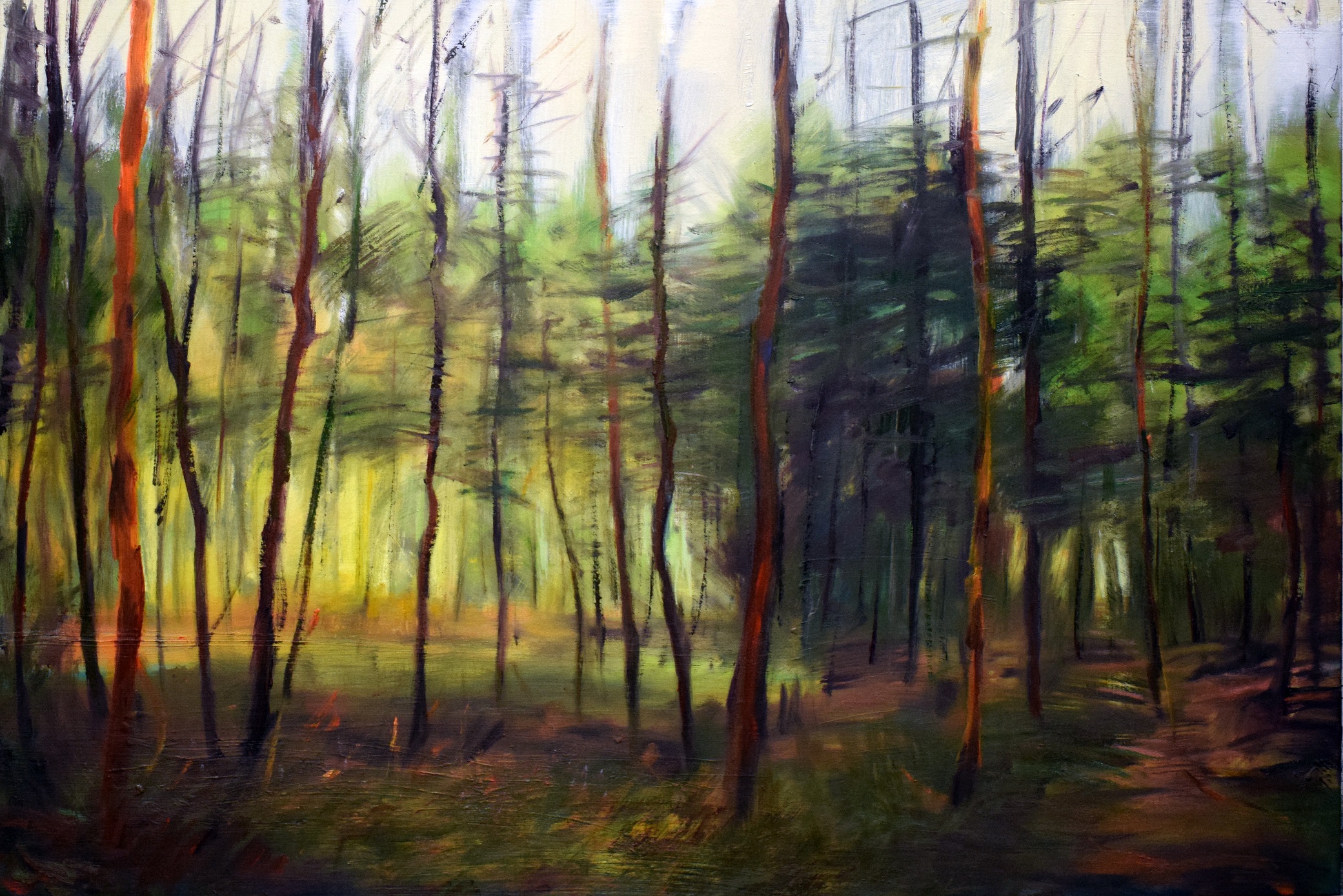 John Konijn A forest medium.jpg