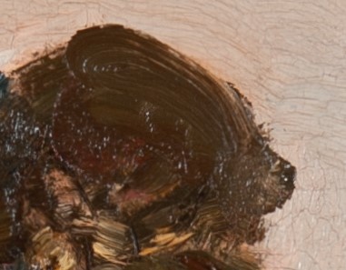 Detail geisoleerde boom aan het gein2.jpg